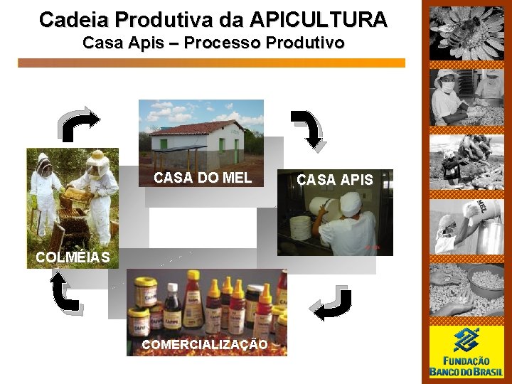 Cadeia Produtiva da APICULTURA Casa Apis – Processo Produtivo CASA DO MEL COLMÉIAS COMERCIALIZAÇÃO