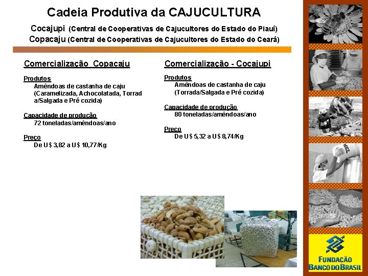 Cadeia Produtiva da CAJUCULTURA Cocajupi (Central de Cooperativas de Cajucultores do Estado do Piauí)