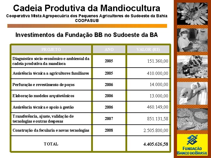 Cadeia Produtiva da Mandiocultura Cooperativa Mista Agropecuária dos Pequenos Agricultores do Sudoeste da Bahia Cadeia Produtiva da Mandiocultura Cooperativa Mista Agropecuária dos Pequenos Agricultores do Sudoeste da Bahia