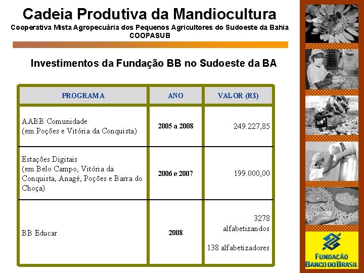 Cadeia Produtiva da Mandiocultura Cooperativa Mista Agropecuária dos Pequenos Agricultores do Sudoeste da Bahia