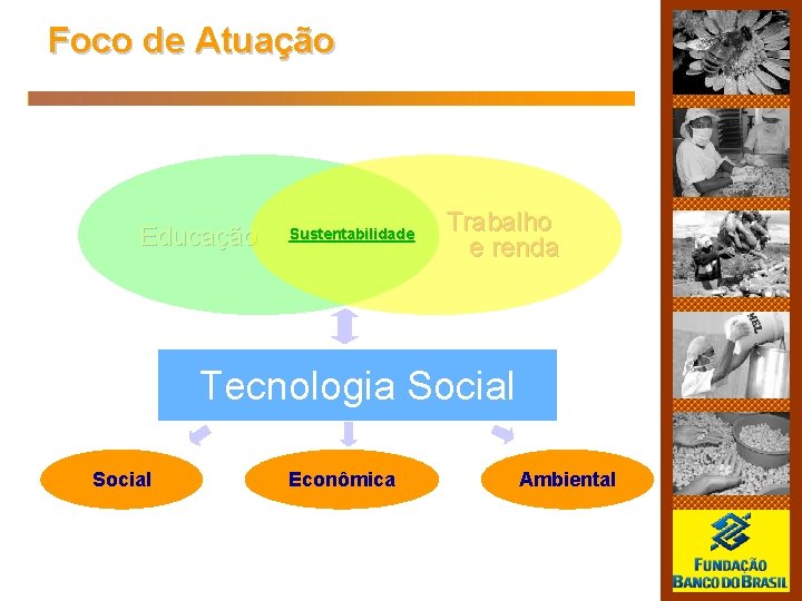 Foco de Atuação Educação Sustentabilidade Trabalho e renda Tecnologia Social Econômica Ambiental 