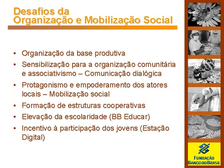 Desafios da Organização e Mobilização Social • Organização da base produtiva • Sensibilização para