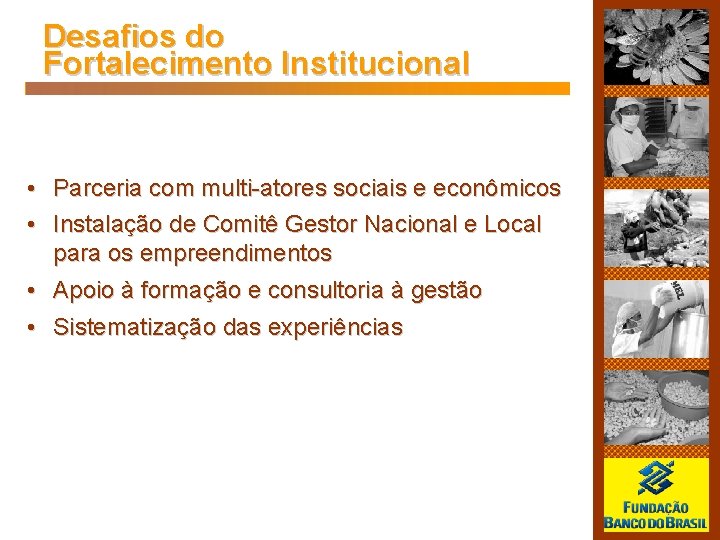 Desafios do Fortalecimento Institucional • Parceria com multi-atores sociais e econômicos • Instalação de