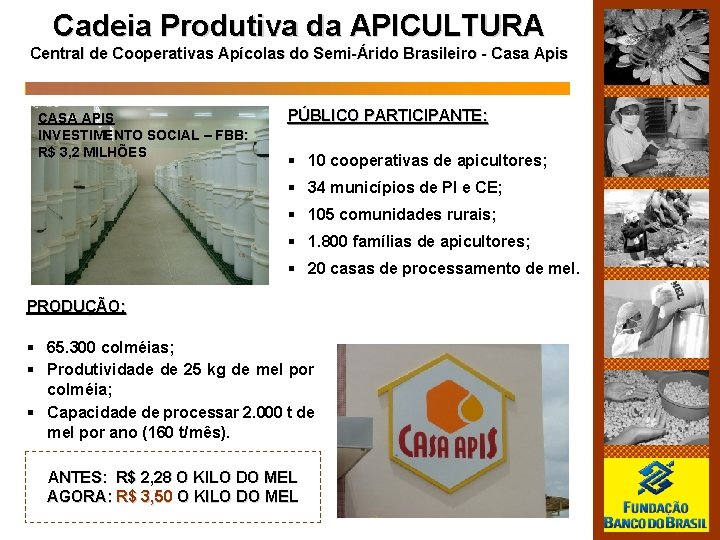 Cadeia Produtiva da APICULTURA Central de Cooperativas Apícolas do Semi-Árido Brasileiro - Casa Apis