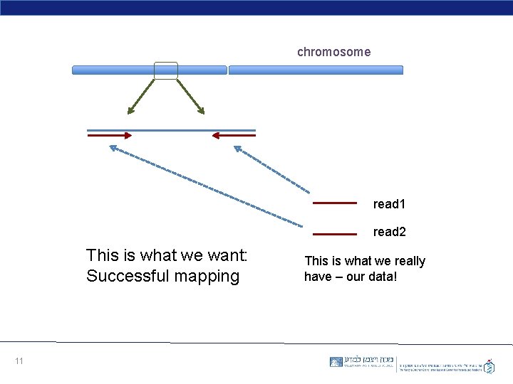 chromosome read 1 read 2 This is what we want: Successful mapping 11 This