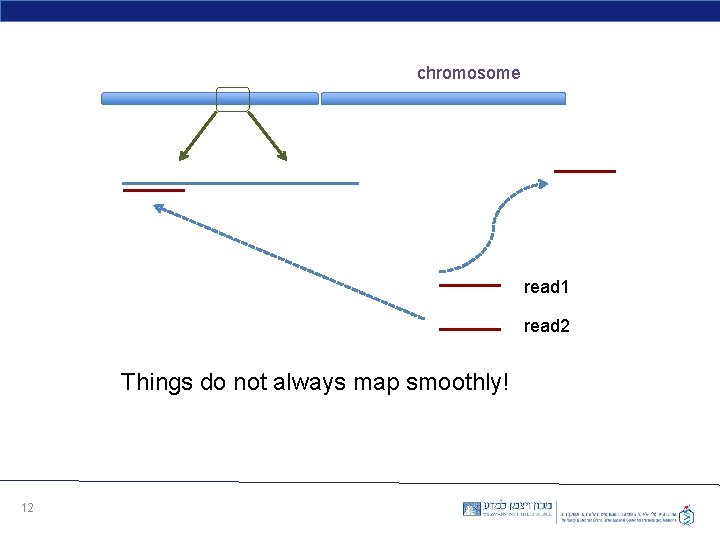 chromosome read 1 read 2 Things do not always map smoothly! 12 