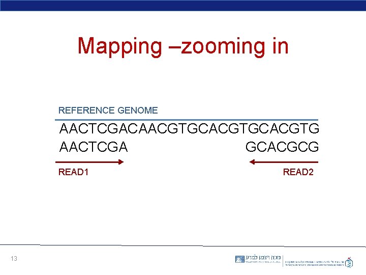 Mapping –zooming in REFERENCE GENOME AACTCGACAACGTGCACGTG AACTCGA GCACGCG READ 1 13 READ 2 