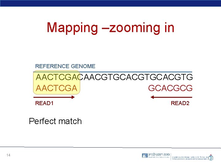 Mapping –zooming in REFERENCE GENOME AACTCGACAACGTGCACGTG AACTCGA GCACGCG READ 1 Perfect match 14 READ