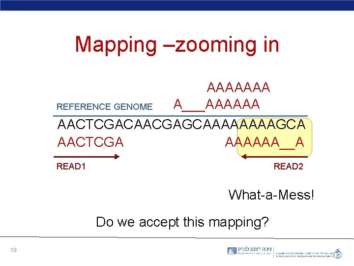 Mapping –zooming in AAAAAAA A___AAAAAA REFERENCE GENOME AACTCGACAACGAGCAAAAGCA AACTCGA AAAAAA__A READ 1 READ 2