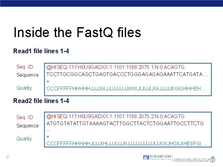 Inside the Fast. Q files Read 1 file lines 1 -4 Seq ID Sequence