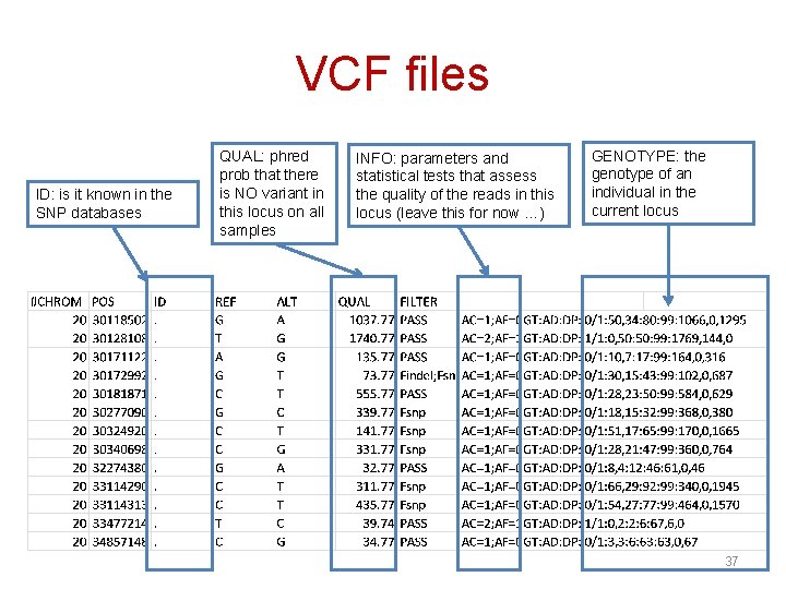 VCF files ID: is it known in the SNP databases QUAL: phred prob that