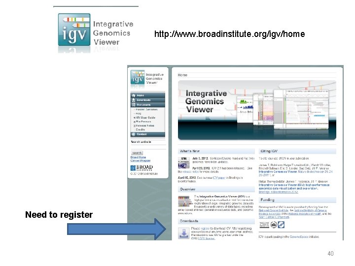 http: //www. broadinstitute. org/igv/home Need to register 40 