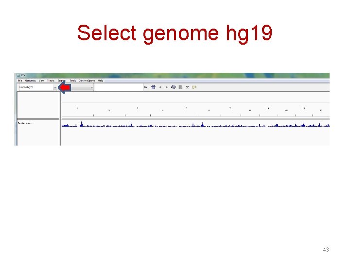 Select genome hg 19 43 