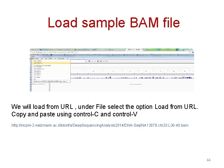 Load sample BAM file We will load from URL , under File select the