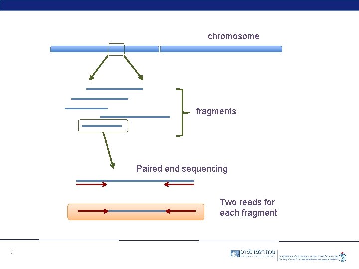 chromosome fragments Paired end sequencing Two reads for each fragment 9 