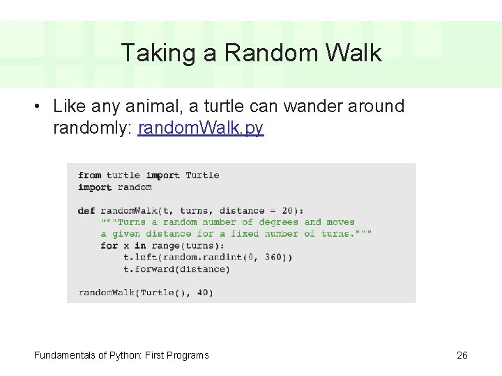 Taking a Random Walk • Like any animal, a turtle can wander around randomly: