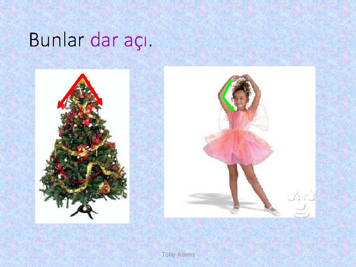 Bunlar dar açı. Tülay Ademi 