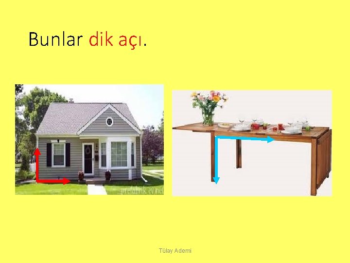 Bunlar dik açı. Tülay Ademi 
