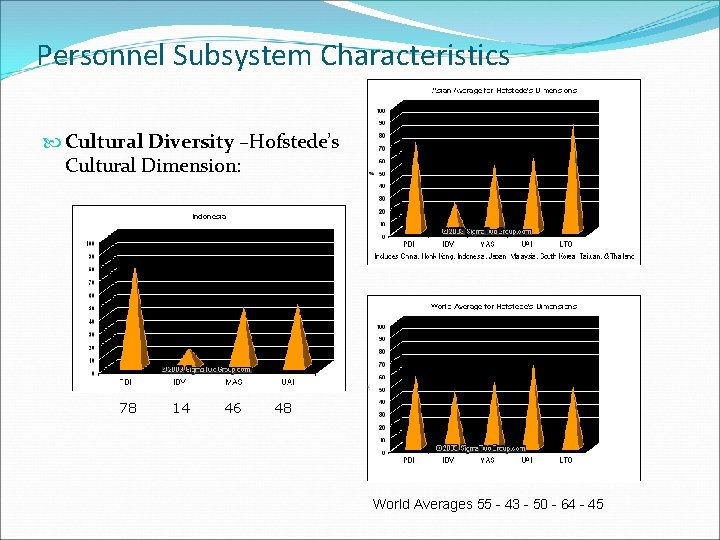 Personnel Subsystem Characteristics Cultural Diversity –Hofstede’s Cultural Dimension: 78 14 46 48 World Averages