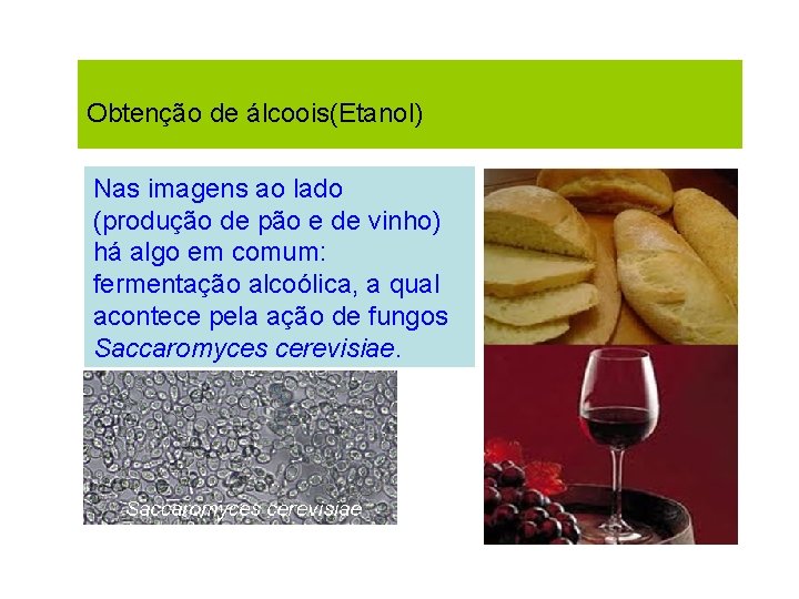 Obtenção de álcoois(Etanol) Nas imagens ao lado (produção de pão e de vinho) há Obtenção de álcoois(Etanol) Nas imagens ao lado (produção de pão e de vinho) há