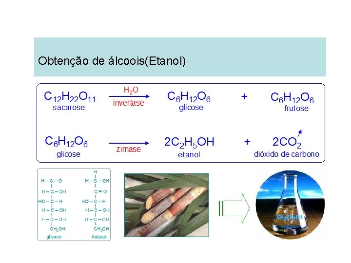 Obtenção de álcoois(Etanol) Obtenção de álcoois(Etanol)