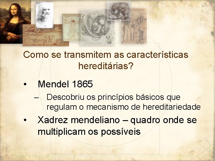 Como se transmitem as características hereditárias? • Mendel 1865 – Descobriu os princípios básicos