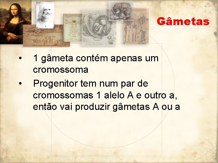 Gâmetas • • 1 gâmeta contém apenas um cromossoma Progenitor tem num par de