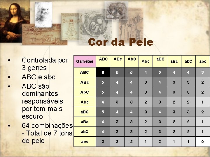 Cor da Pele • • Controlada por 3 genes ABC e abc ABC são