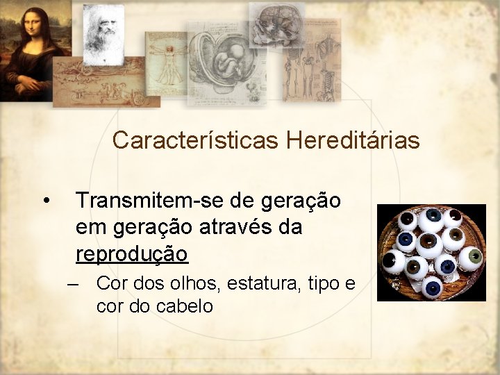 Características Hereditárias • Transmitem-se de geração em geração através da reprodução – Cor dos