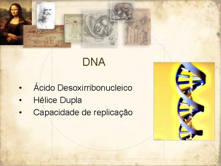 DNA • • • Ácido Desoxirribonucleico Hélice Dupla Capacidade de replicação 