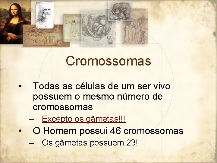 Cromossomas • Todas as células de um ser vivo possuem o mesmo número de