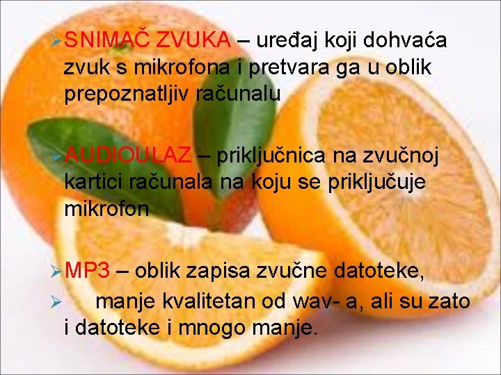 Ø SNIMAČ ZVUKA – uređaj koji dohvaća zvuk s mikrofona i pretvara ga u