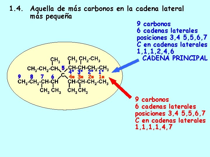1. 4. Aquella de más carbonos en la cadena lateral más pequeña 9 carbonos