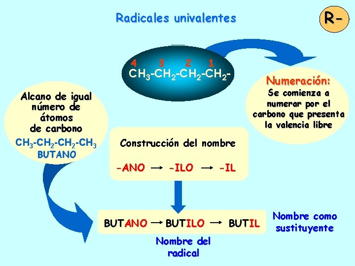 R- Radicales univalentes 4 3 2 1 CH 3 -CH 2 -CH 2 Alcano