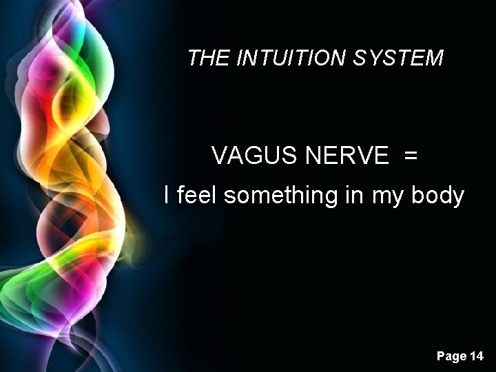 THE INTUITION SYSTEM VAGUS NERVE = I feel something in my body Free Powerpoint