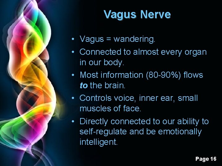 Vagus Nerve • Vagus = wandering. • Connected to almost every organ in our