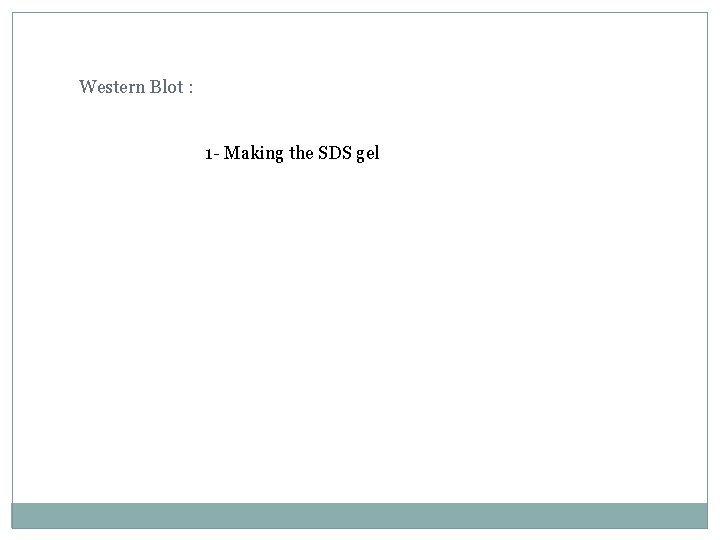 Western Blot : 1 - Making the SDS gel 