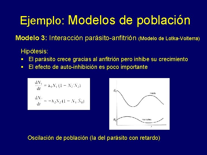 Ejemplo: Modelos de población Modelo 3: Interacción parásito-anfitrión (Modelo de Lotka-Volterra) Hipótesis: § El