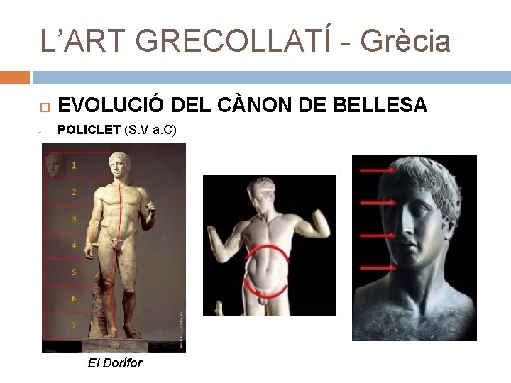 L’ART GRECOLLATÍ - Grècia EVOLUCIÓ DEL CÀNON DE BELLESA - POLICLET (S. V a.