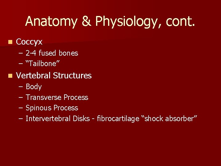 Anatomy & Physiology, cont. n Coccyx – 2 -4 fused bones – “Tailbone” n Anatomy & Physiology, cont. n Coccyx – 2 -4 fused bones – “Tailbone” n