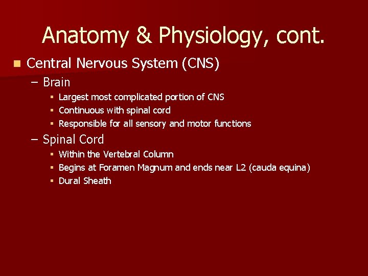 Anatomy & Physiology, cont. n Central Nervous System (CNS) – Brain § § § Anatomy & Physiology, cont. n Central Nervous System (CNS) – Brain § § §