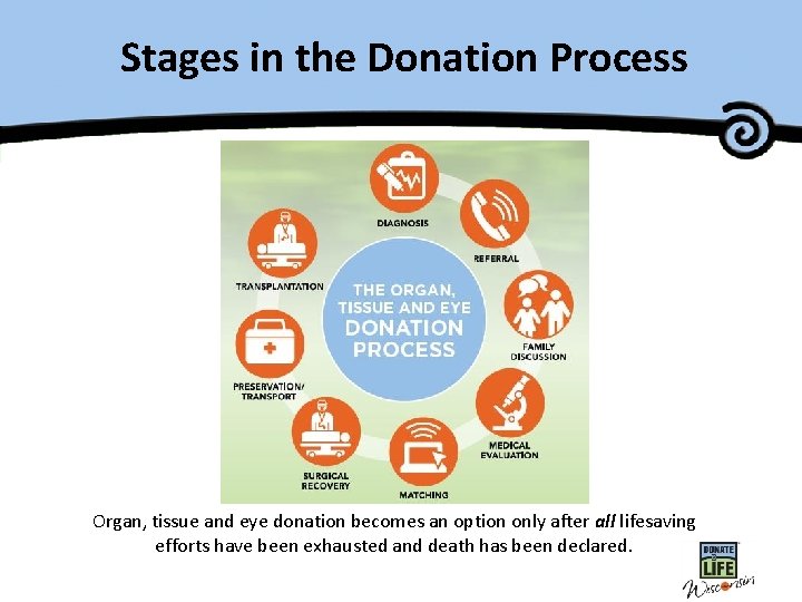 Stages in the Donation Process Organ, tissue and eye donation becomes an option only