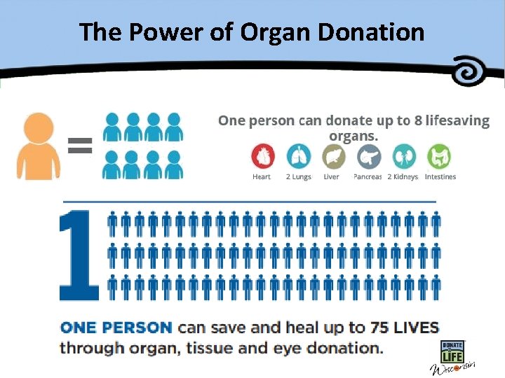 The Power of Organ Donation 