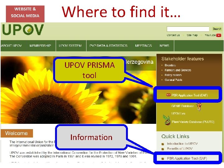 Where to find it… UPOV PRISMA tool Information 