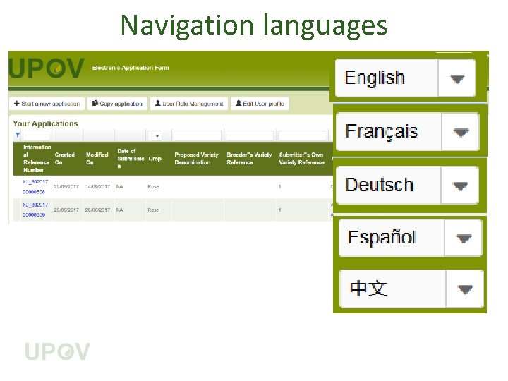 Navigation languages 