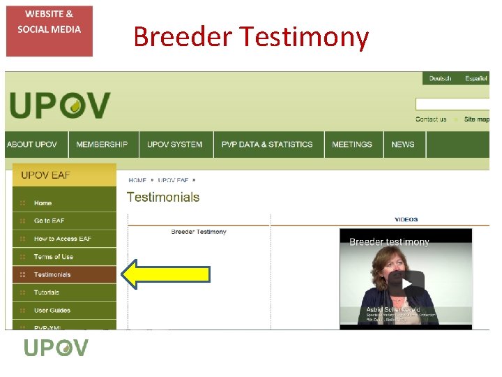 Breeder Testimony 