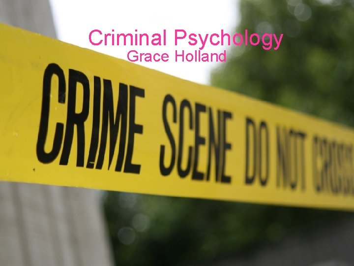 Criminal Psychology Grace Holland 