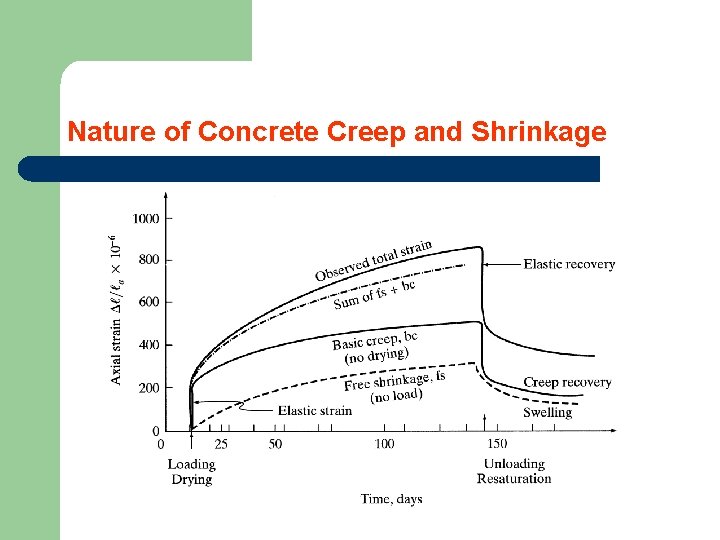 Nature of Concrete Creep and Shrinkage 