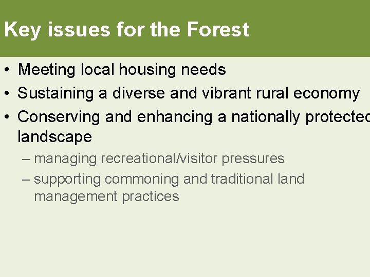 Key issues for the Forest • Meeting local housing needs • Sustaining a diverse