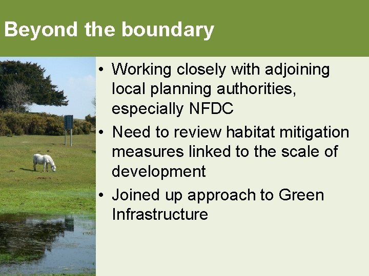 Beyond the boundary • Working closely with adjoining local planning authorities, especially NFDC •